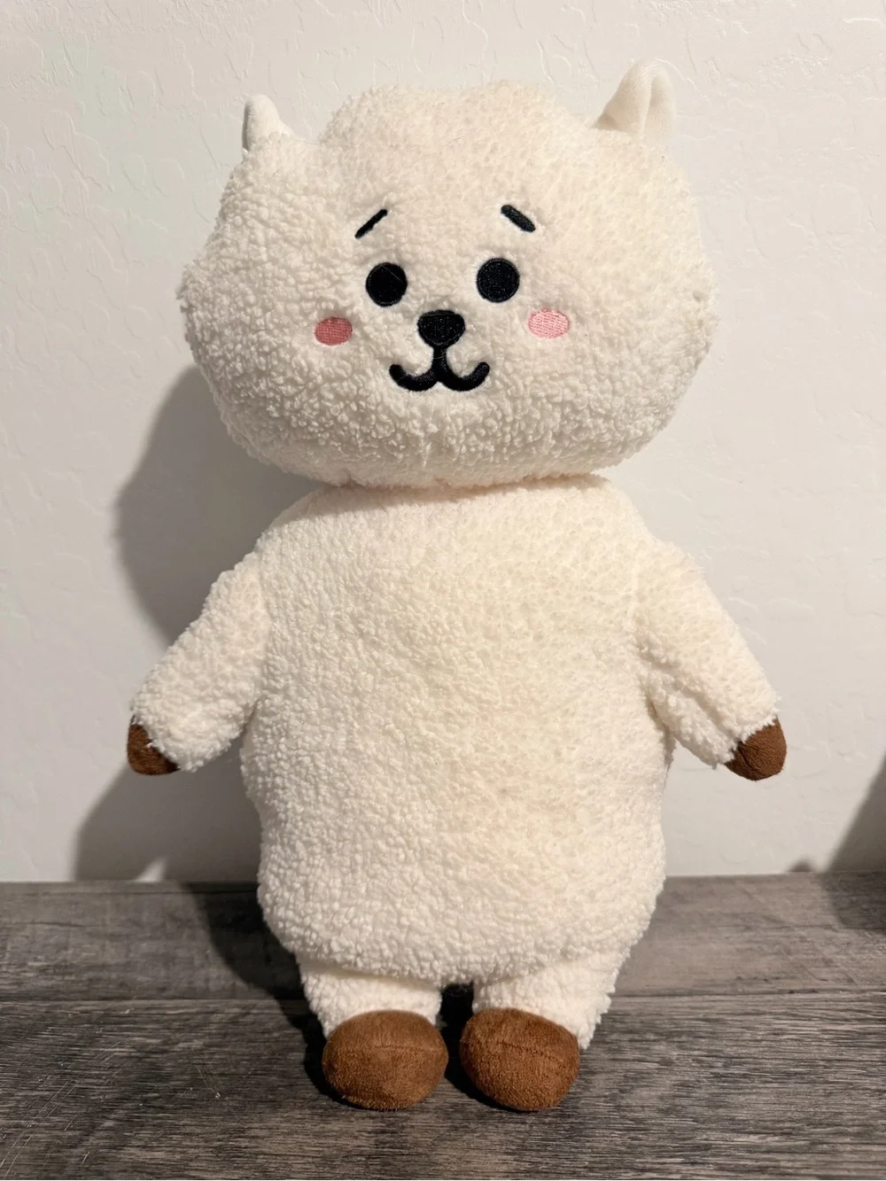 Official line friends bt21 rj plush doll